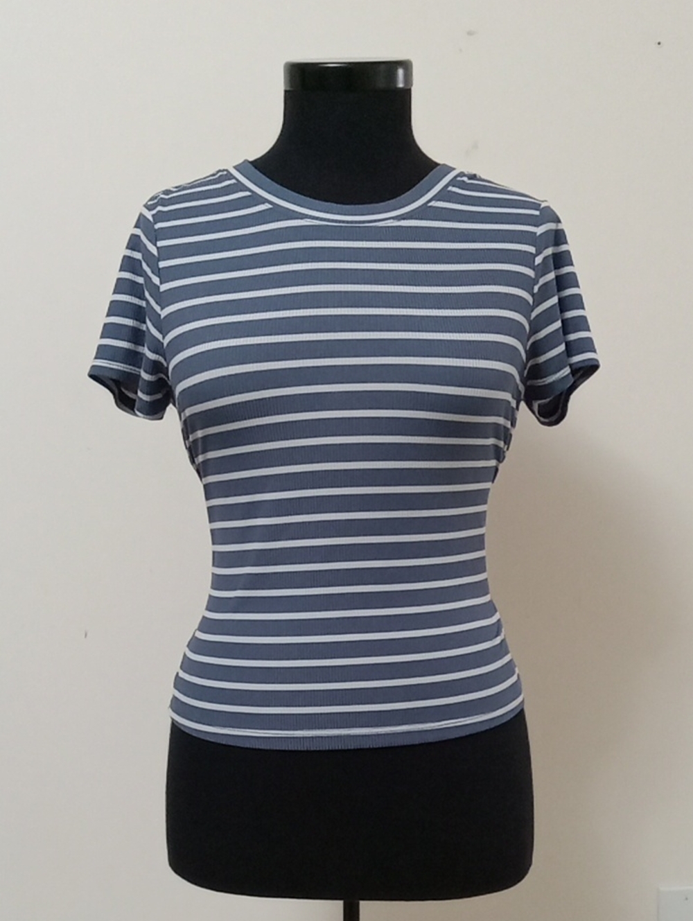 Striped Navy and White Short Sleeve Crewneck Tee